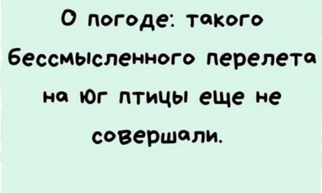 Бредзона 13.01.2020