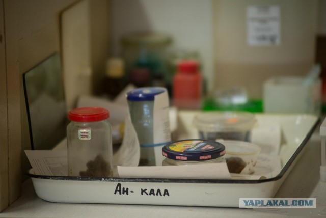 Две пробирки с хантавирусом пропали из лаборатории в Австралии в 2024 году
