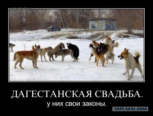 Русская свадьба в Махачкале