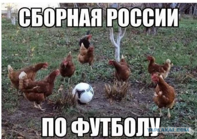 Чемпионат Мира 2014 Бразилия