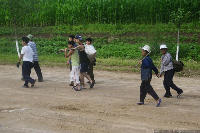 КНДР приоткрыла экспортные ворота для РФ