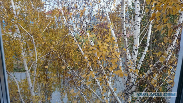 А что у Вас сейчас?