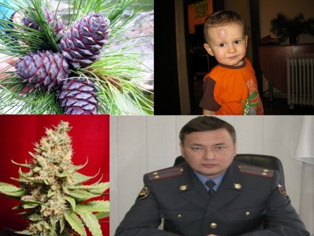 Слов не хватает!