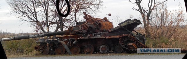 Год войны на Украине