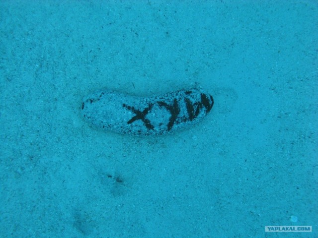 Памятник российскому туристу