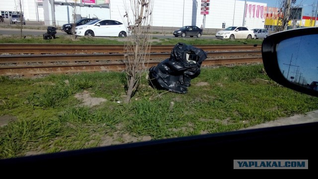 Пуля против скорости.