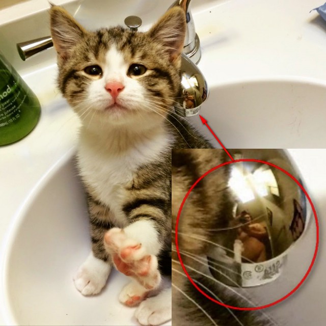 Безысходность как она есть