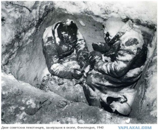 Несколько жутких исторических фотографий