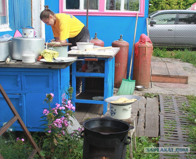 Чебуреки от Пчёлы