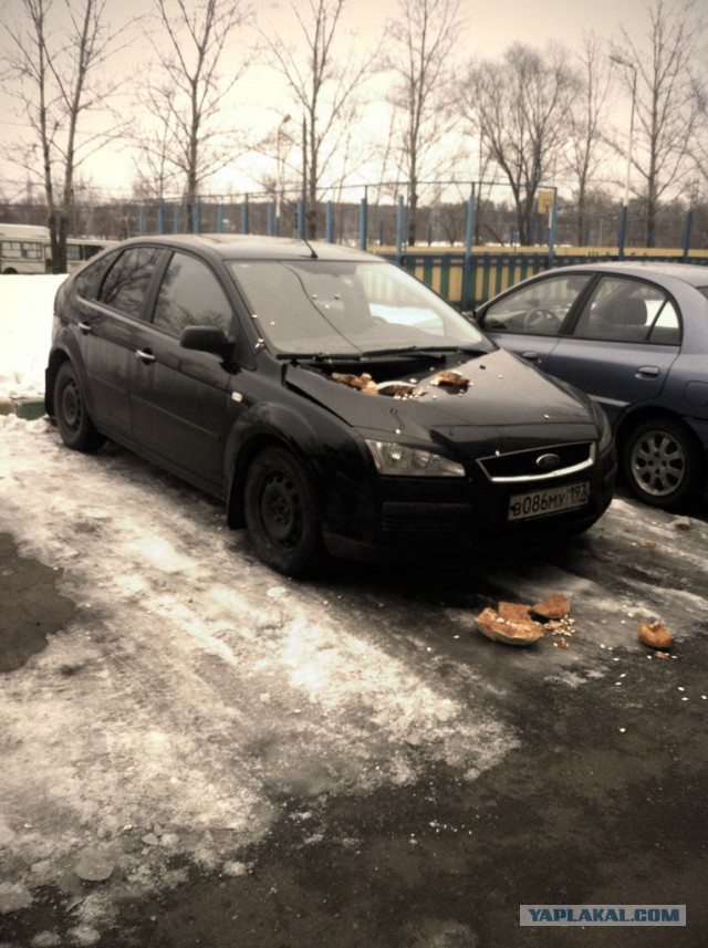 Месть за парковку у подъезда - тыквой по крыше