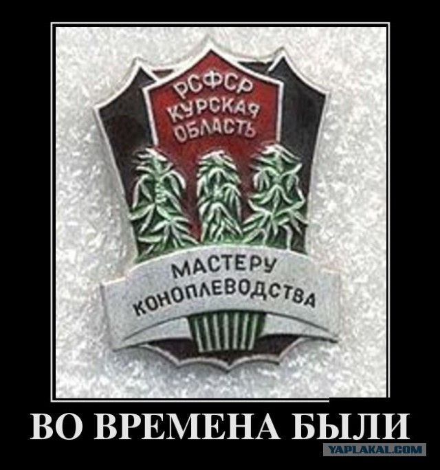 Опубликованы фото наркотиков, найденных у режиссера Серебренникова при обыске
