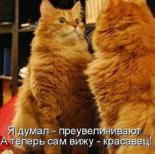 Подборка интересных и веселых картинок