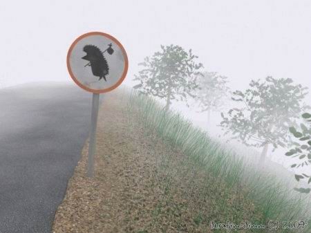 Осторожно, ежик!