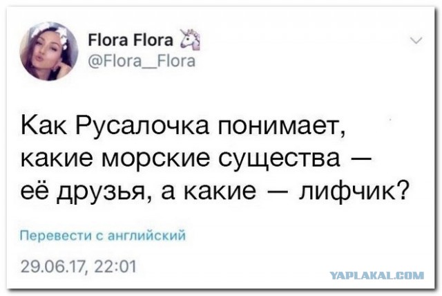 Смешные комментарии из социальных сетей 04.08.2017