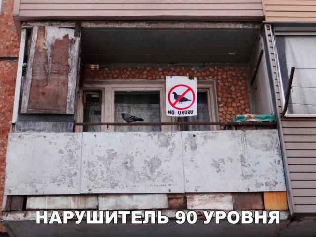 150 картинки для поднятия настроения!