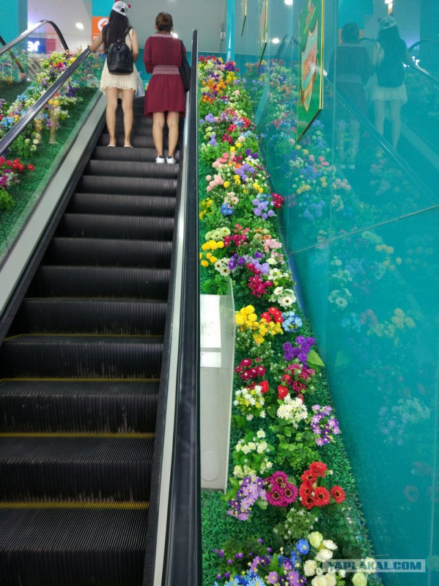 ХАЙНАНЬ. Записки путешественника. Часть первая.