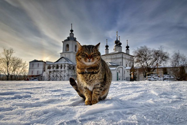 18 зимних картинок