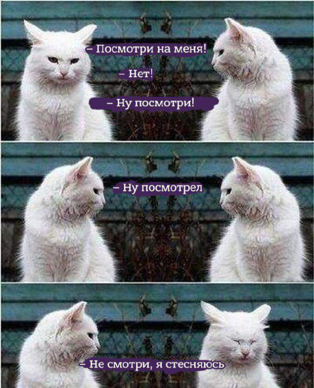 Разное из тырнэта