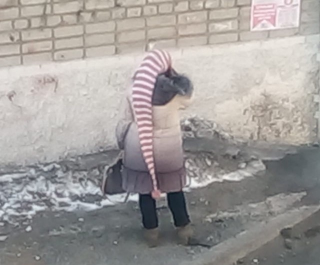 Скотсети и прочие интернеты 13.06.18