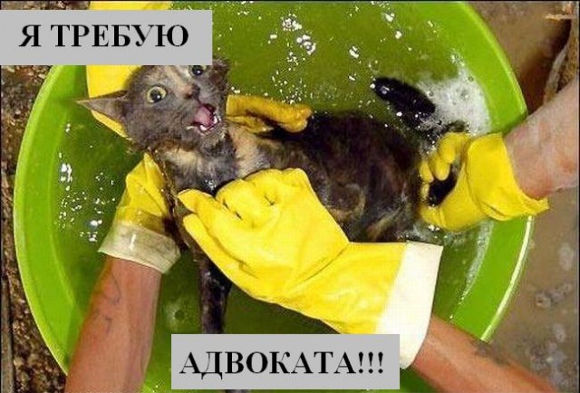 Весёлая подбока зверей (9 штук)