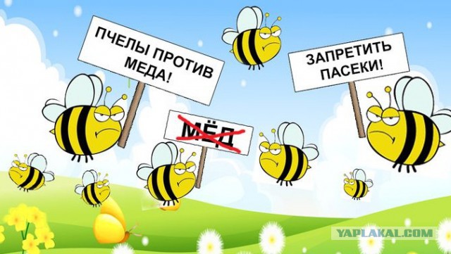 Обманутая страна ждет случая, чтобы поквитаться с властью за пенсии