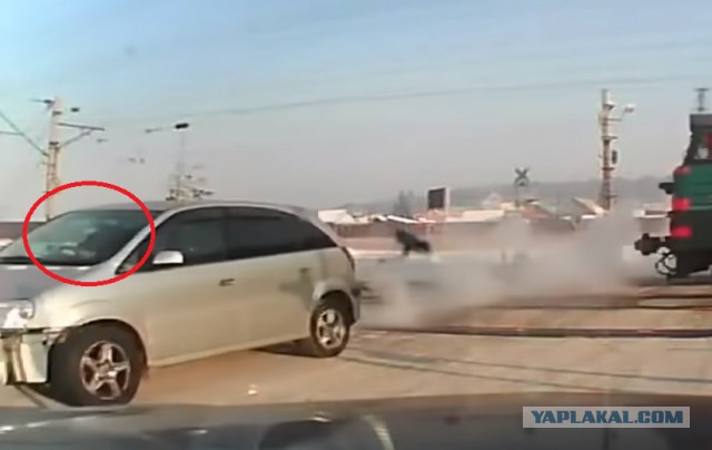 Я, пожалуй, здесь выйду!