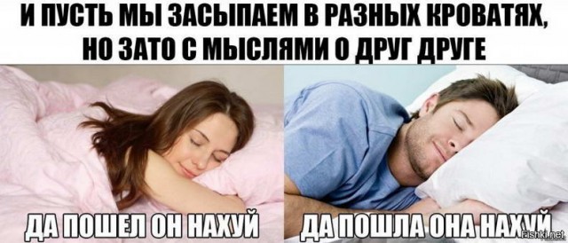 Применим физику в постели или белка и стрелка. Картинки