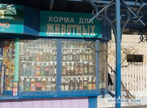 Покормите своих животных!