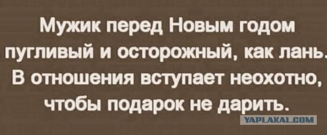 Подеградируем