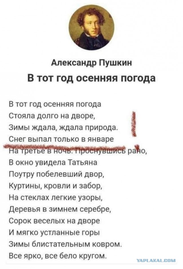 В Петербурге бешеный мусоровоз на полной скорости вылетел на съезде с ЗСД и перевернулся