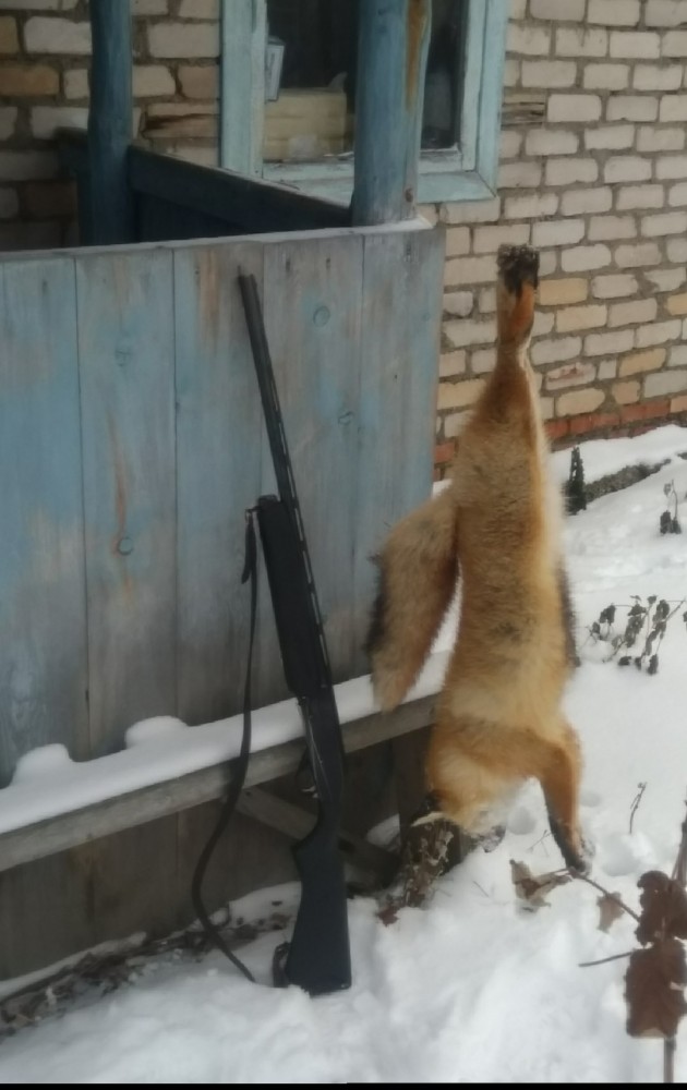 Про охоту
