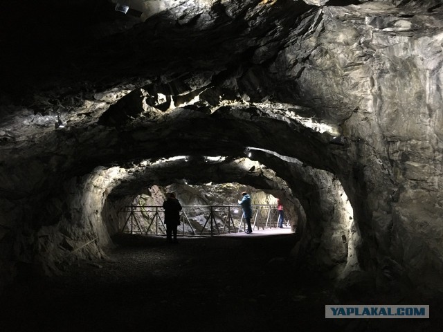 В Петербурге от коронавируса скончался создатель парка «Рускеала»