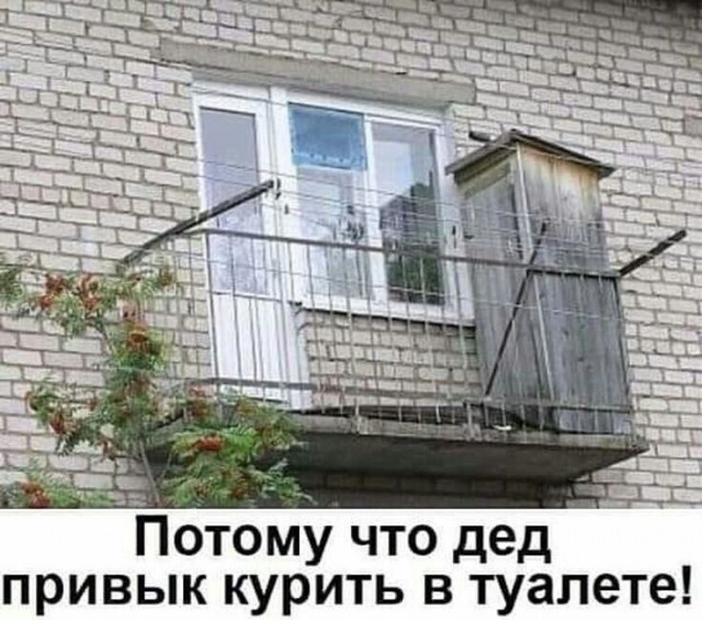 Фотки и картинки: юморные и красивые, забавные и милые 28.10.20