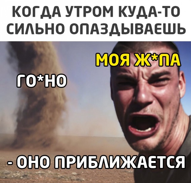 Картинки из рабочего чата 09.12.20