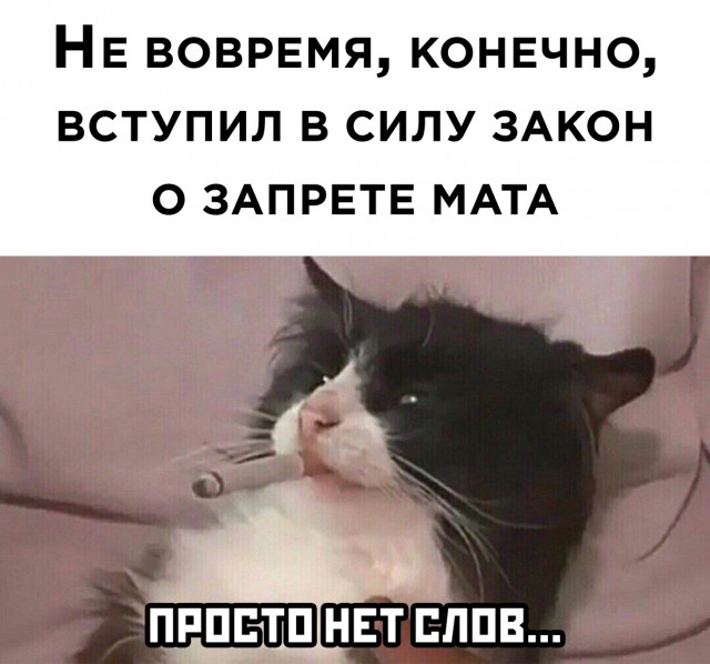 Кретинизмы из сети 03.02.21 Night Edition