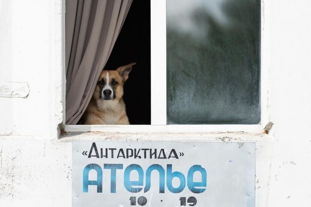 Жизнь городских окраин