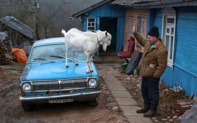 Прикольные и просто красивые картинки 09.02.2021