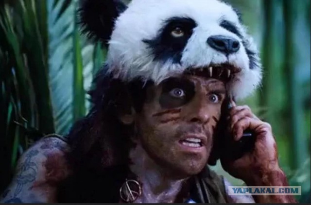 Панда: Почему они добрые и ленятся размножаться, ведь это противоречит всем законам природы