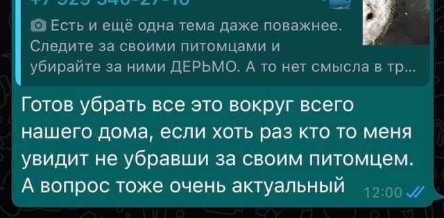 Убирайте за своими питомцами!