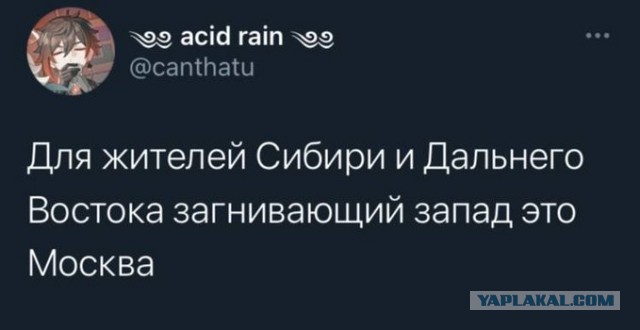 Так себе картинки 13.03.21
