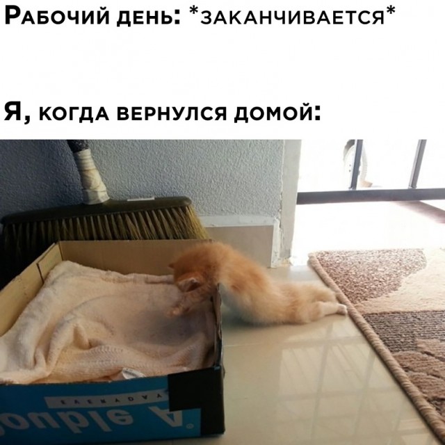Весёлый полтишок 20.03