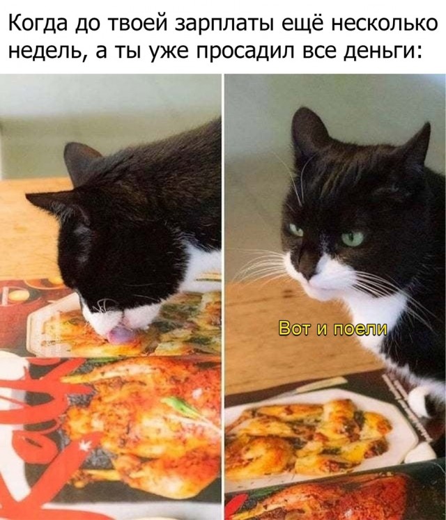 Картинки и мемы для настроения