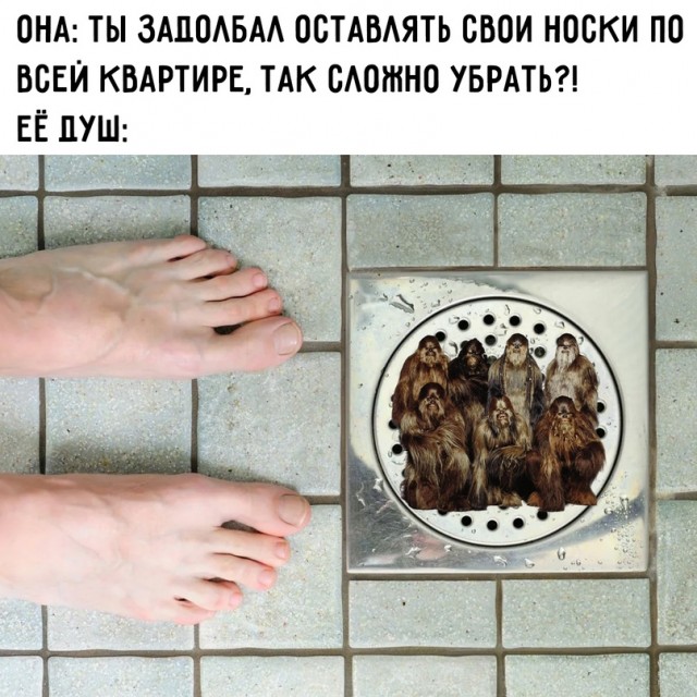 Весёлый полтишок 27.05