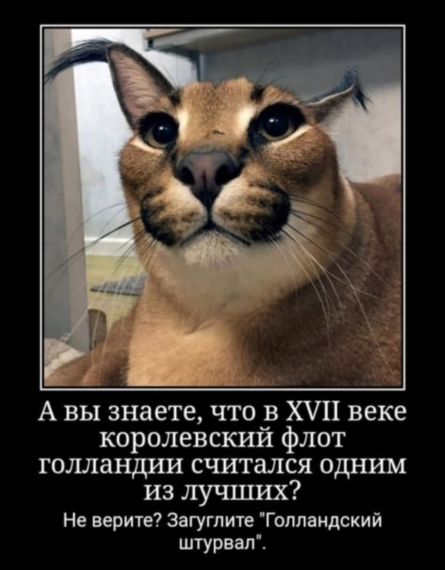 Бредзона 08.06.21