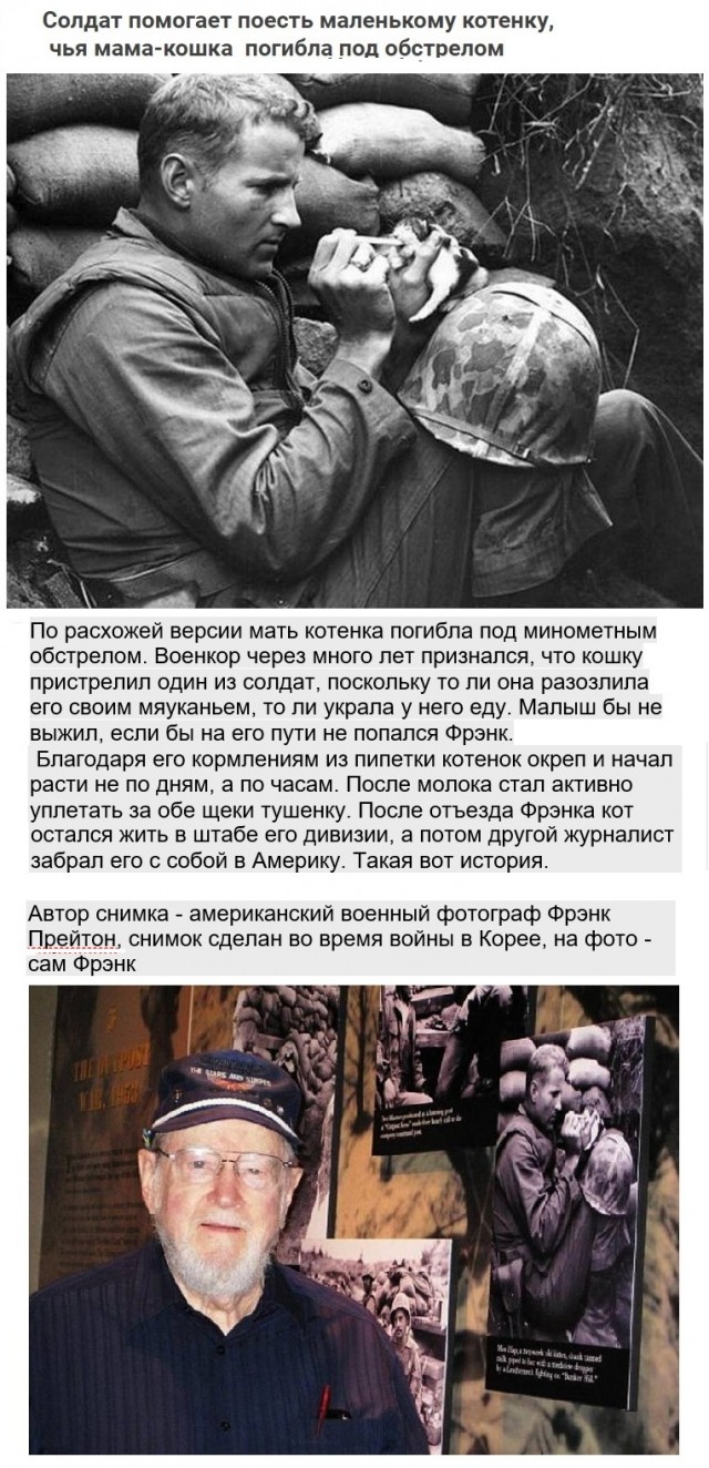 Картинки с надписями и всякие жизненные фразы 27.06.21