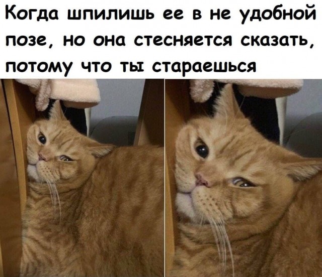 Пятница. И немного слегка пошлых картинок с надписями и без 16+ (20.08))