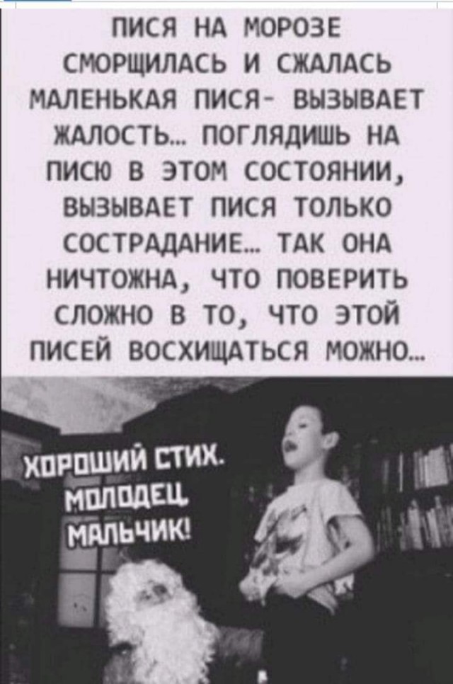 Всяческие картинки 29.12.2021