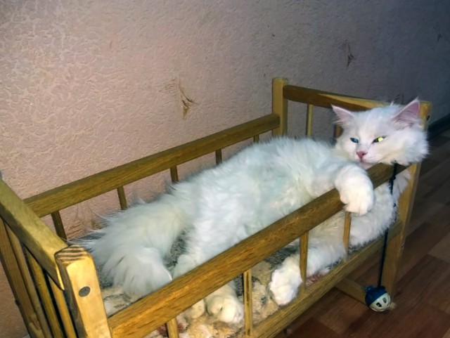 А давайте не про Казахстан, ага?