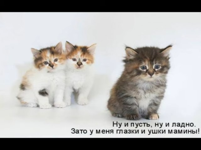Так себе картинки 27.02.22