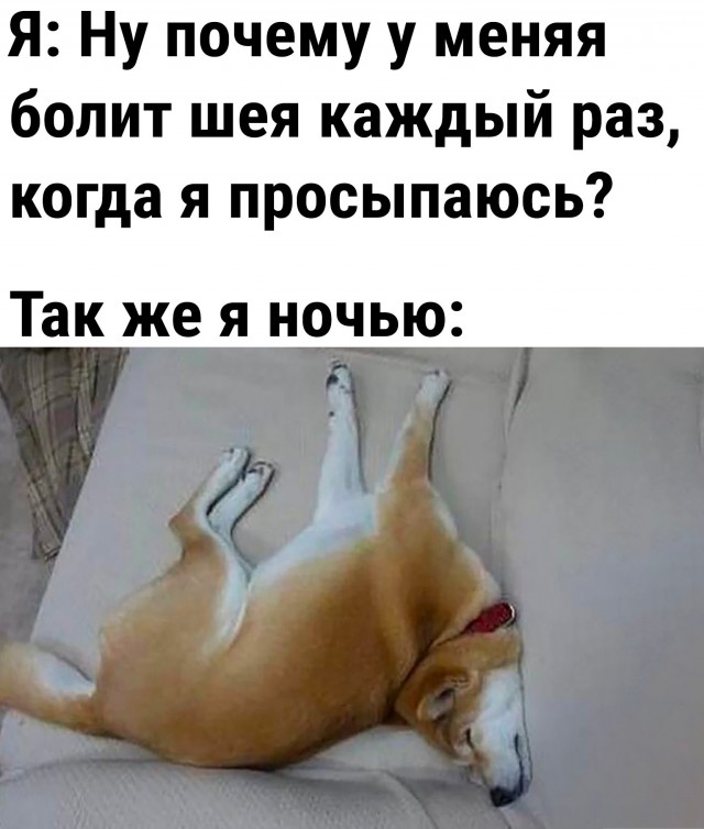 50 оттенков серого. Vol.8 Или самосвал баянов